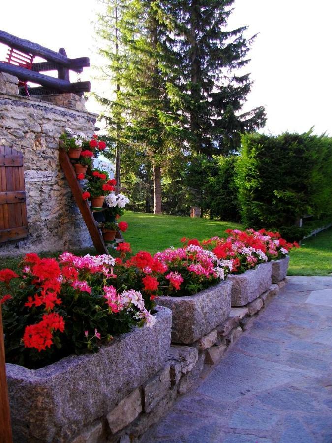 Le Petit Chateau De Vetan Cir 0023 셍피에르 외부 사진